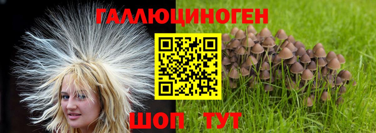 Вязники  Псилоцибиновые грибы прущие грибы  Галлюциногенные грибы GOLDEN TEACHER  Вход с VPN 
