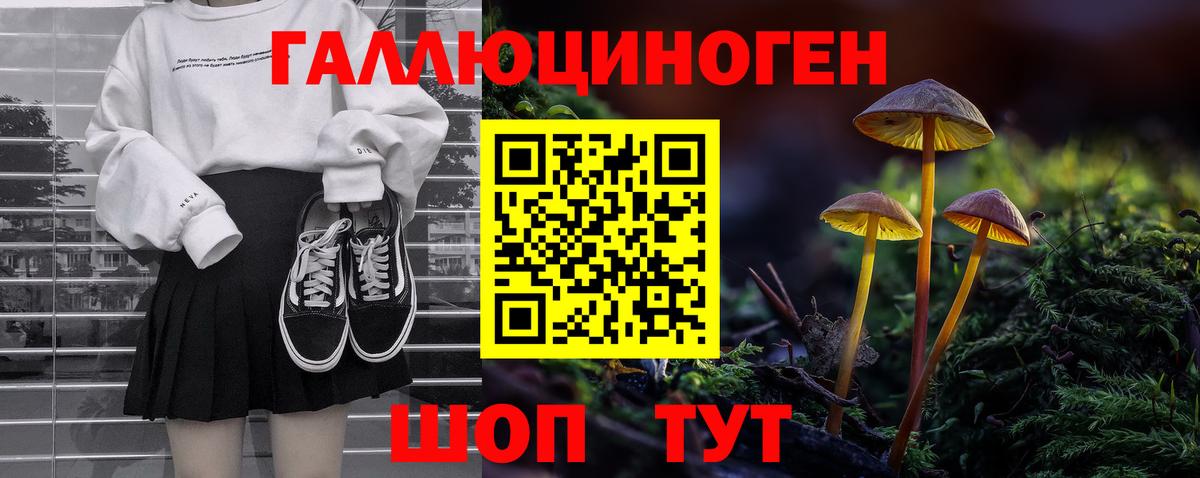 Псилоцибиновые грибы Psilocybine cubensis Вязники